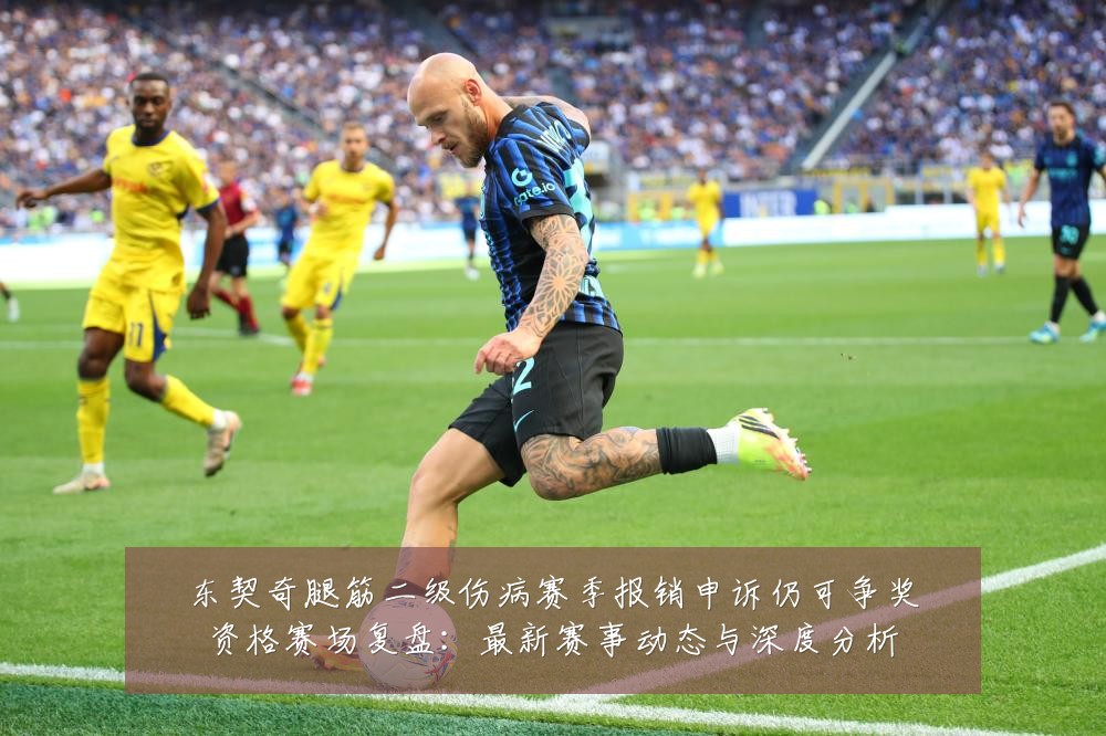 东契奇腿筋二级伤病赛季报销申诉仍可争奖资格赛场复盘:最新赛事动态与深度分析